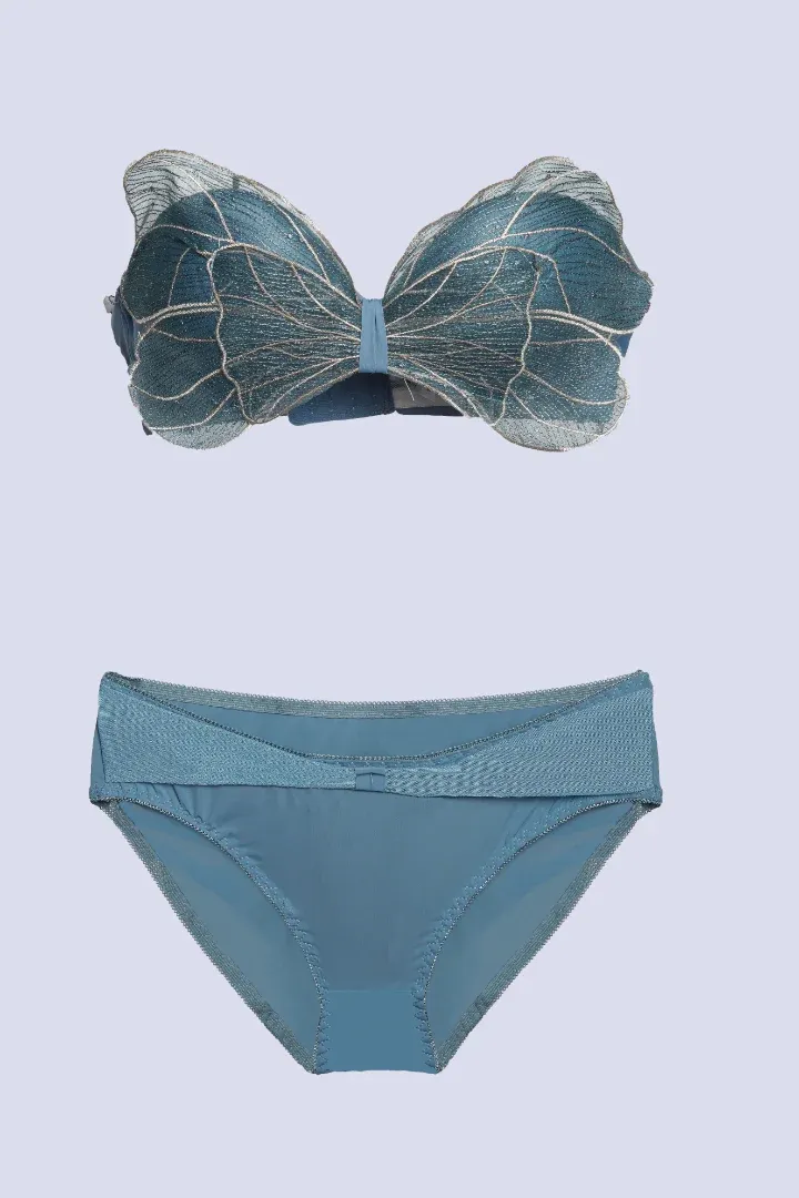 Desire Bra